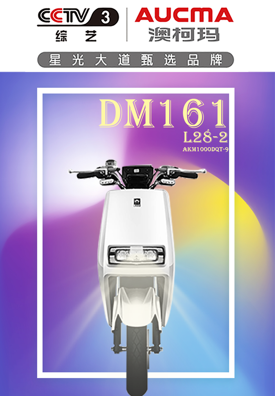DM161(图1)